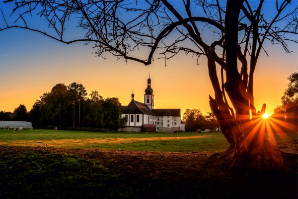10-kloster-michelfeld-in-der-abendsonne-khsCDFCDAD7-2775-B074-FC12-62B22AFD4937.jpg