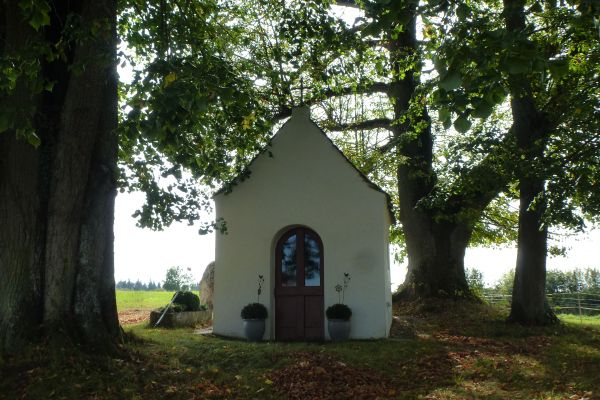 8-au-kapelle-p1080073-marienkapellesaass-fotovf92B71455-F995-0D9D-EE81-CCBE042B8731.jpg
