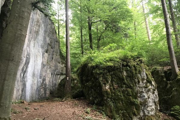 ndfleischhoehle-hoehlenweg-juli-2020-anja-heisinger173A423C-0F9B-12CC-5D9E-A049727A78CF.jpg