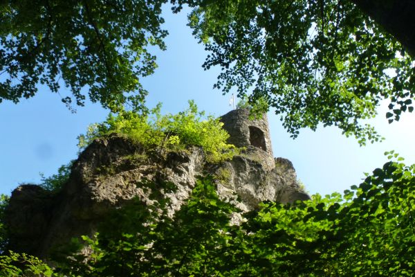 p1110018-streuobstwanderweg-burgruinestierbergturmvorburg-vfrauenknecht-kompB4FD4A75-EE60-5D44-0225-A30C0BEA26FE.jpg
