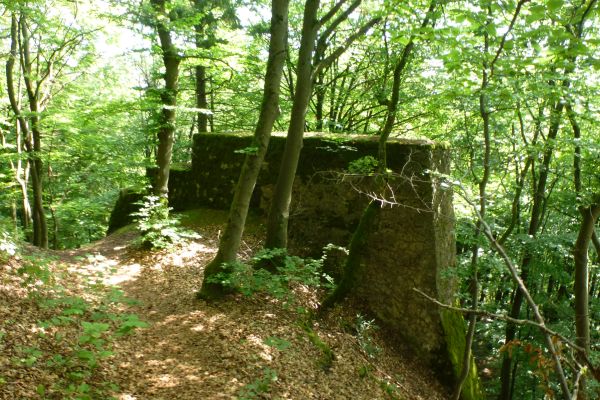 p1110020-streuobstwanderweg-burgruinestierbergmauerreste-vfrauenknecht4A1326CA-569F-641B-5947-02717888A5AA.jpg